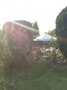 Christen in Schaumburg: das Wort leben: in SHG