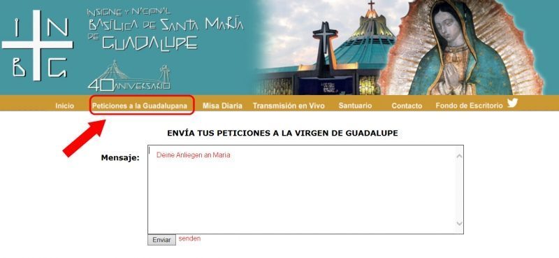 Jungfrau Maria von Guadalupe: Allgemein