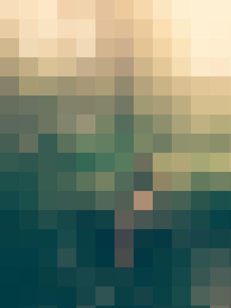 cocodakota Zusatzbild #3