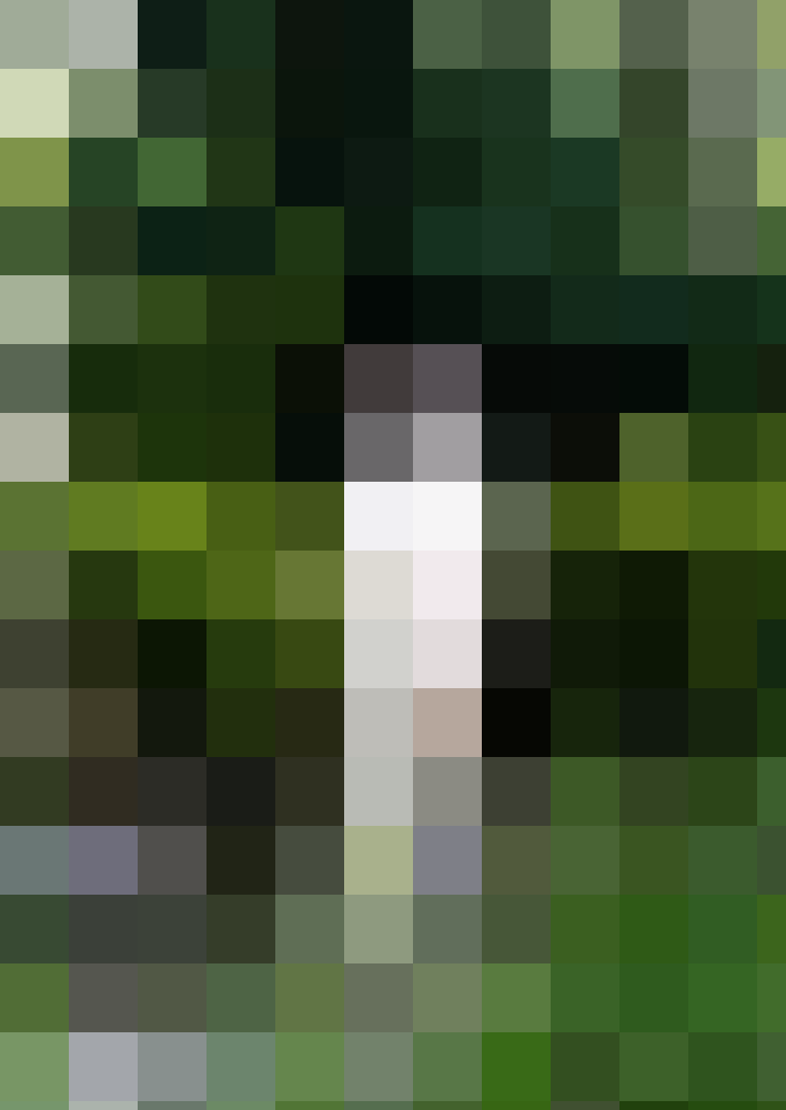 ajs1 Zusatzbild #3
