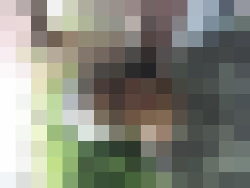 Lottchen Profilbild