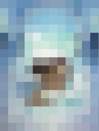 Romeoxx Zusatzbild #10