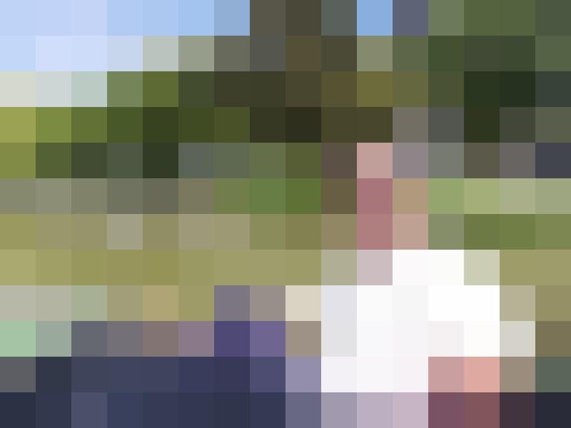 Romeoxx Zusatzbild #4