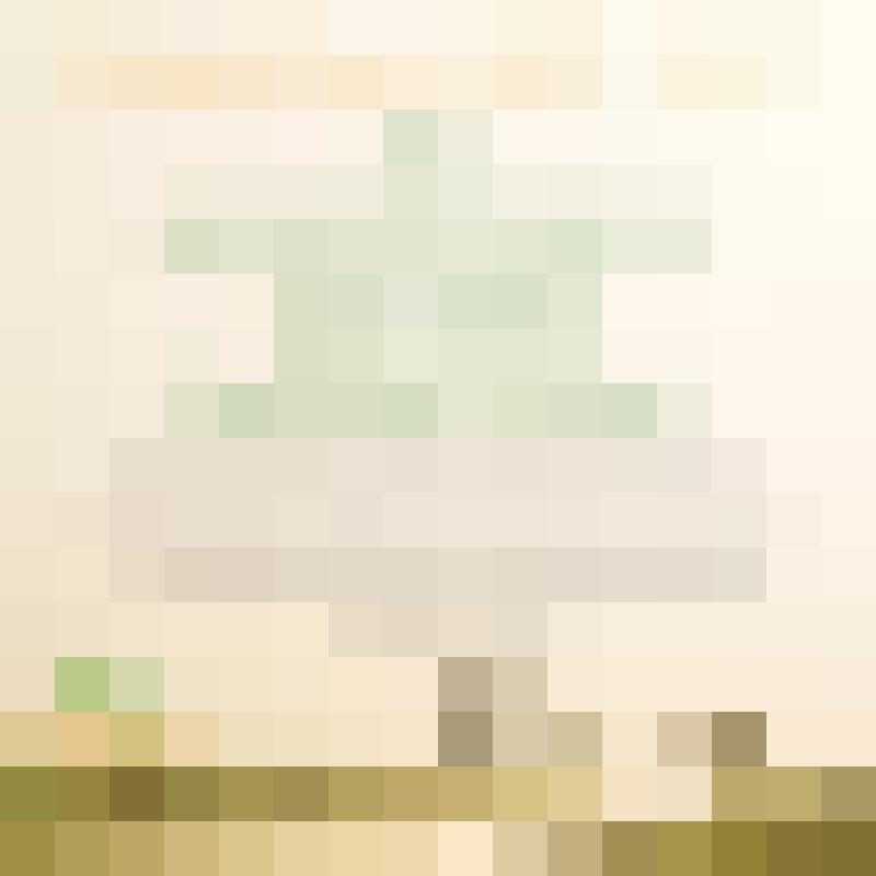 tripleMom Zusatzbild #6