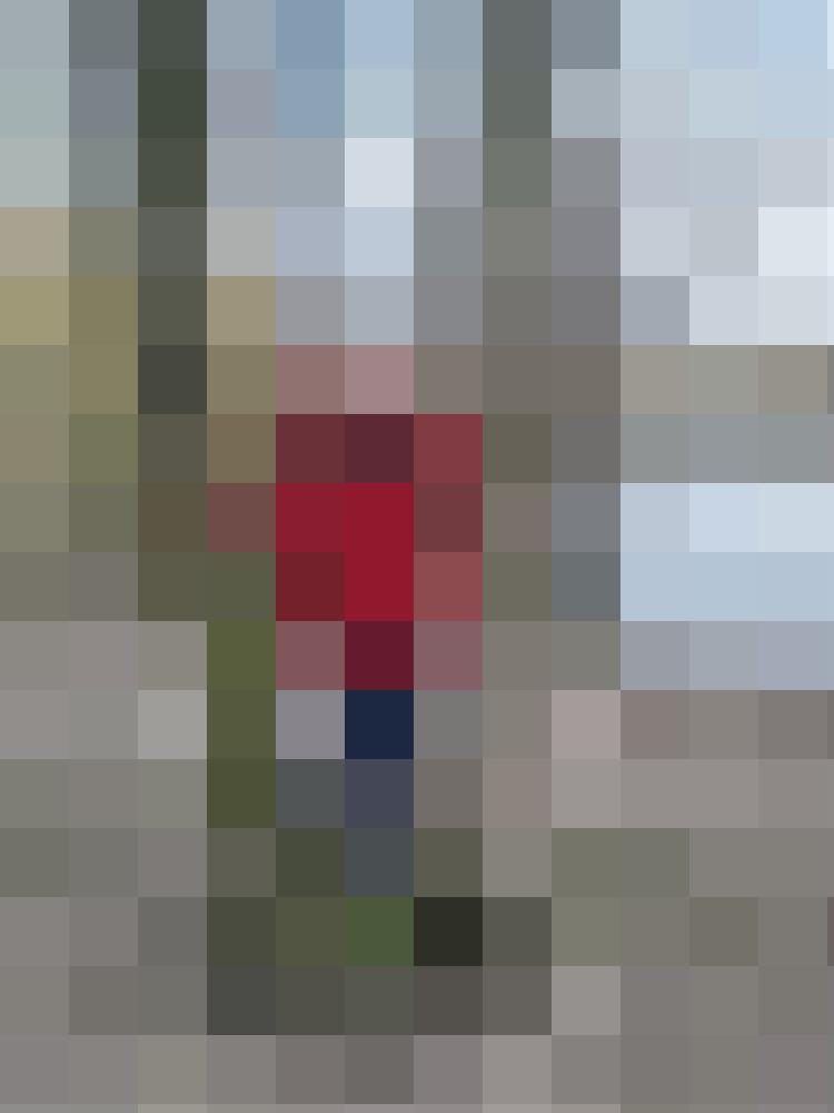 DerRadler1 Zusatzbild #1