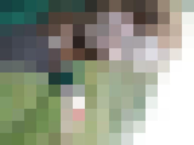 Kitte Profilbild