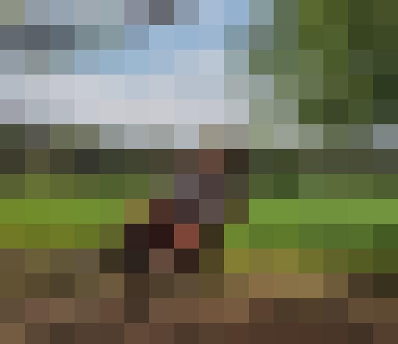 Liebeleben68 Zusatzbild #11