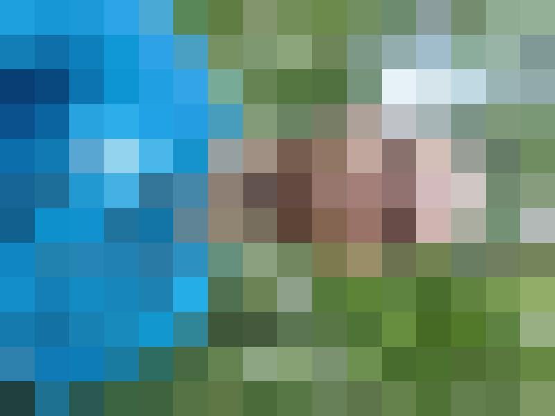 Argetlam Profilbild