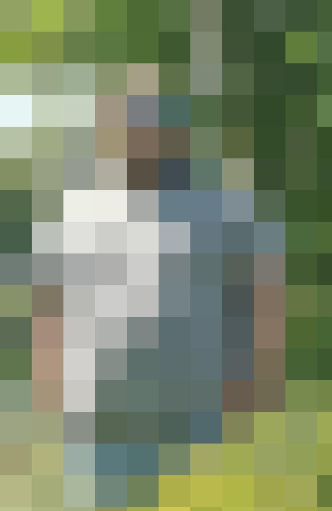 Getsu Profilbild