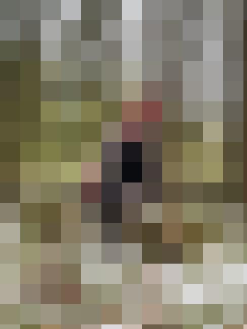 Wnd_13 Zusatzbild #3