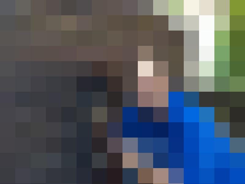 Dandelion Zusatzbild #3