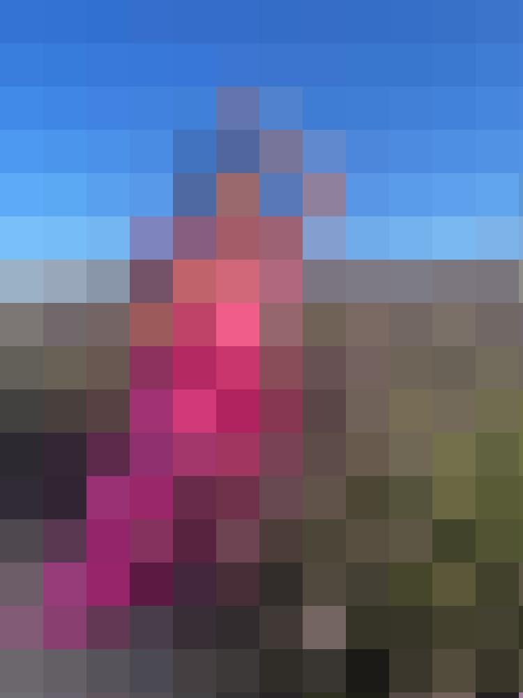 Dandelion Zusatzbild #5