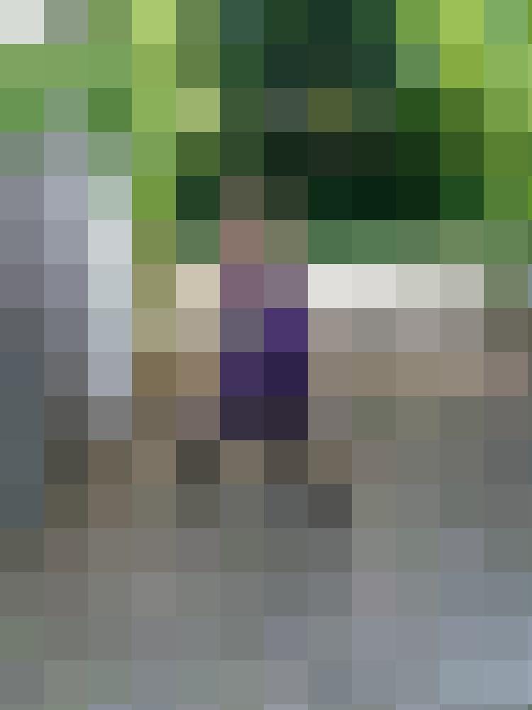 Freiherrin Zusatzbild #5