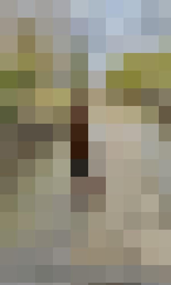 Diddi81 Zusatzbild #1