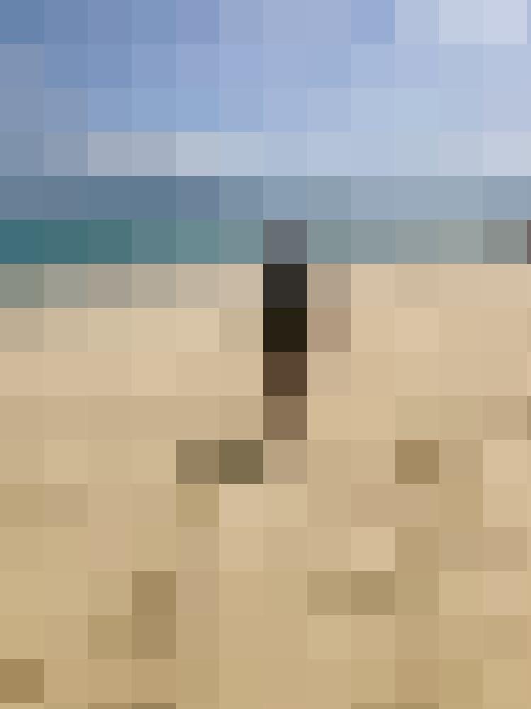 Diddi81 Zusatzbild #3