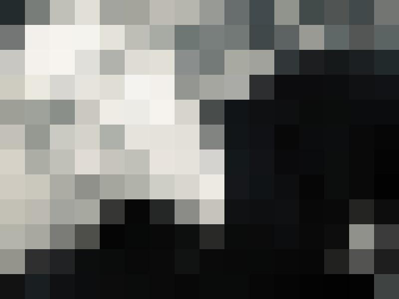 REMNANT Profilbild